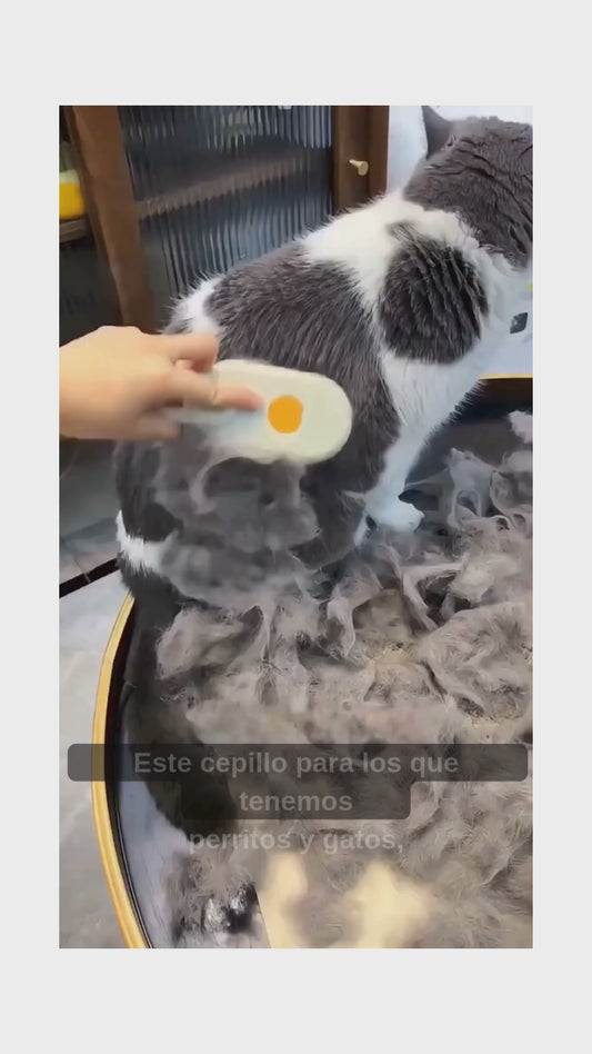 CEPILLO PARA MASCOTAS CON SPRAY - Elimina hasta el 99% del pelo suelto en minutos